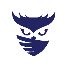 raid owl